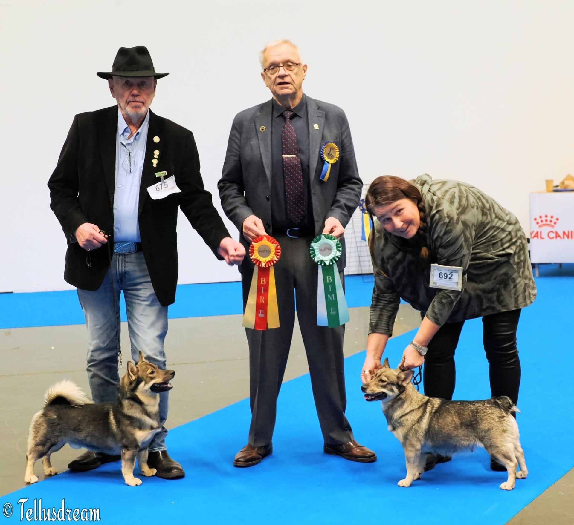 BIR och BIM  Domare: Åke Cronander