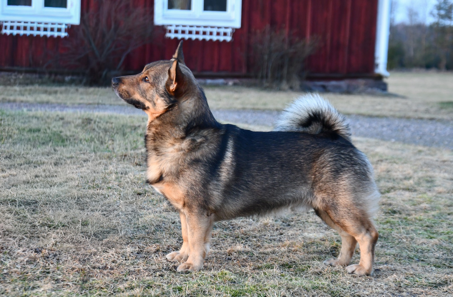 Foto: Annika Lundblad 